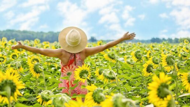 L'oroscopo del 14 luglio: Gemelli nervosi, Acquario in difficolt&agrave;.