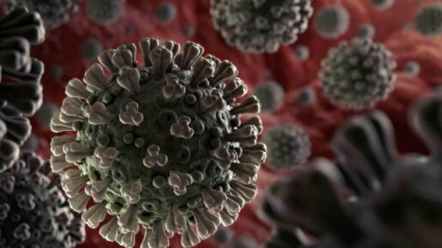Latina, bambina di 9 anni trovata positiva al Coronavirus: forse contagiata dalla cuginetta.