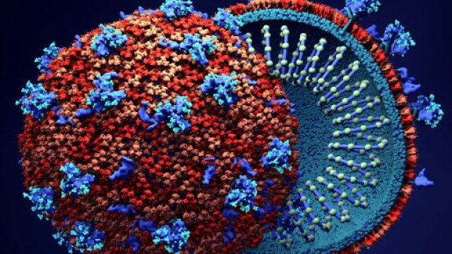 Nuovo bollettino coronavirus 14/07.