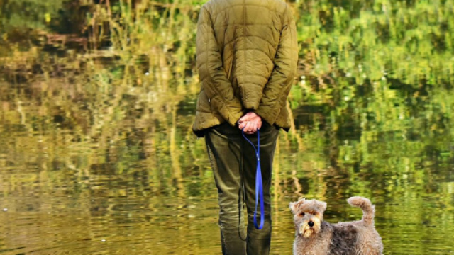 Doit-on prendre un animal de compagnie quand on est une personne &acirc;g&eacute;e - Photo Pixabay