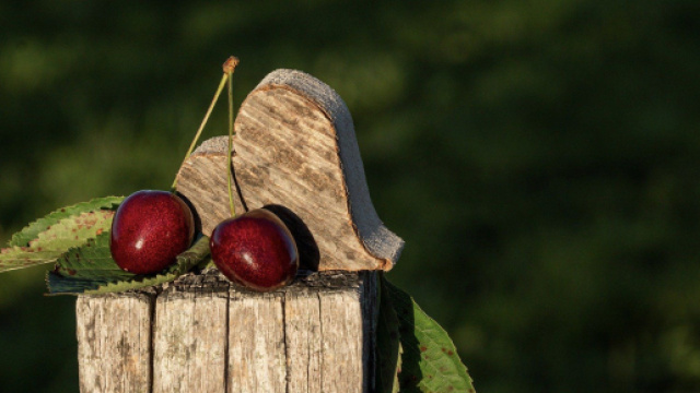 L'oroscopo del 16 luglio: Ariete apatico, Cancro attivo.