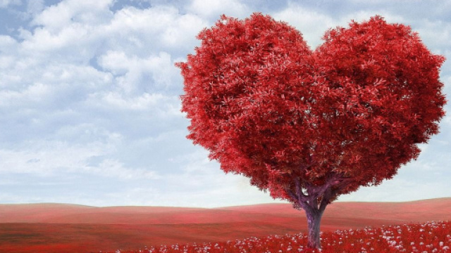 Previsioni zodiacali e classifica sull'amore di agosto: Cancro passionale, Pesci gelosi.