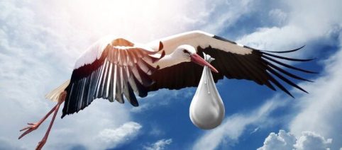 Alarmante disminución de nacimientos en el mundo: qué nos espera