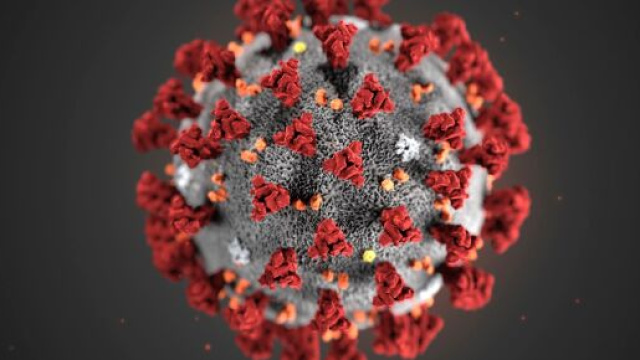 Coronavirus, il bollettino del 17 luglio 2020.