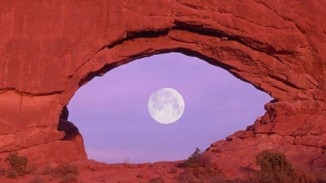 Previsioni zodiacali e classifica di agosto: finanze top per Cancro, progetti per Leone.