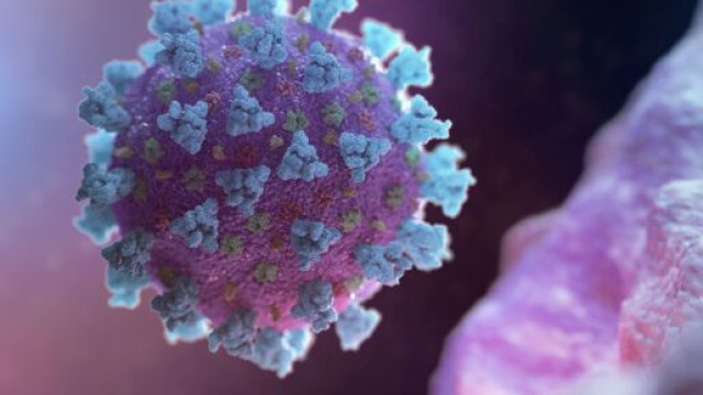 Coronavirus bollettino 2 luglio.