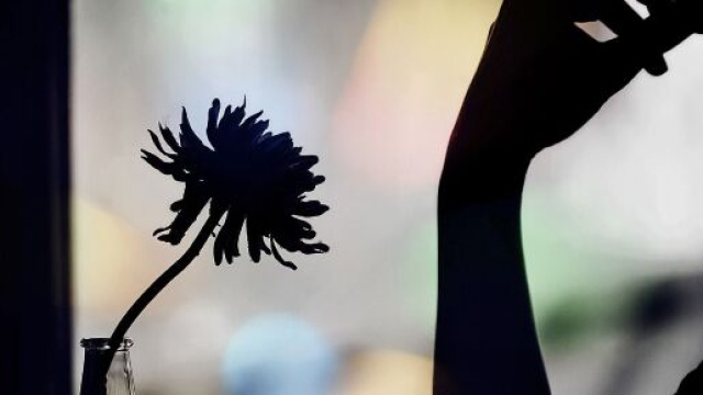 L'oroscopo del weekend dal 3 al 5 luglio.