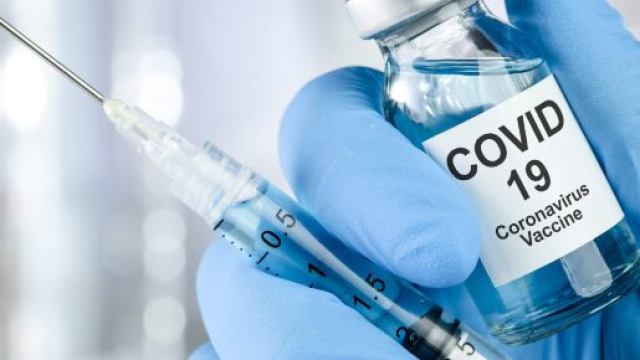 Coronavirus, il vaccino sviluppato dall'Universit&agrave; di Oxford produce forti risposte immunitarie.