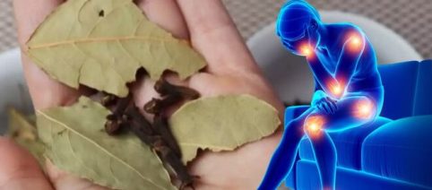 Si vous avez toujours mal au dos, cette recette de thé au laurier vous fera du bien