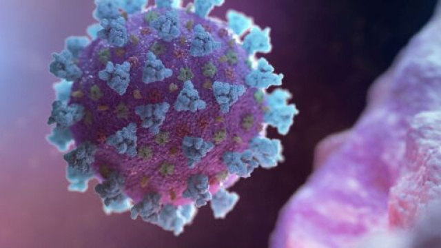 Coronavirus bollettino del 23 luglio.