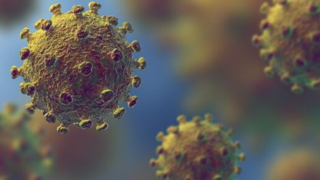 Coronavirus dati del 24 luglio.