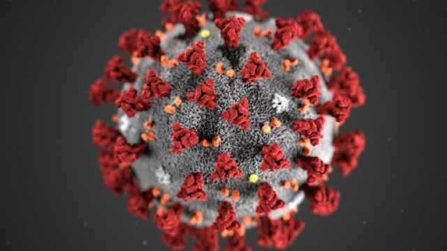 Coronavirus, il bollettino del 26 luglio 2020.