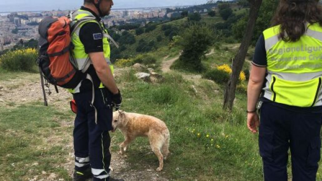 Genova: ritrovato senza vita il pap&agrave; scomparso il 23 luglio.