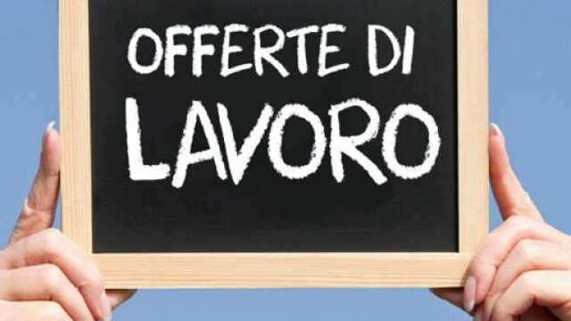 Esselunga: offerte di lavoro per diplomati e laureati, candidatura online.