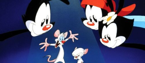Animaniacs e Pinky e C&eacute;rebro, est&atilde;o entre os principais desenhos animados produzidos por Steven Spielberg. (Arquivo Blasting News)