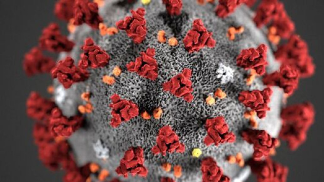 Bollettino coronavirus 3 luglio.