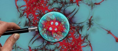 El cerebro humano, con su incre&iacute;ble diversidad neuronal, sigue siendo, en su mayor parte, un misterio