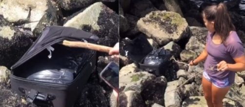 A pol&iacute;cia dos EUA confirmou a presen&ccedil;a de restos humanos na mala. (Reprodu&ccedil;&atilde;o/TikTok)