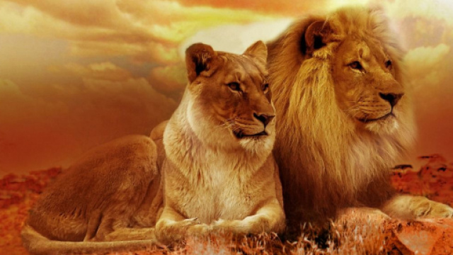 Previsioni zodiacali di mercoled&igrave; 8 luglio: Leone lungimirante, Capricorno puntiglioso.