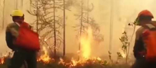 Siberian Arctic average temperature increased by 5 degree Celsius. [Image source/WION YouTube video]