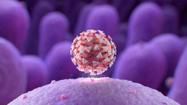 Coronavirus bollettino 9 luglio.