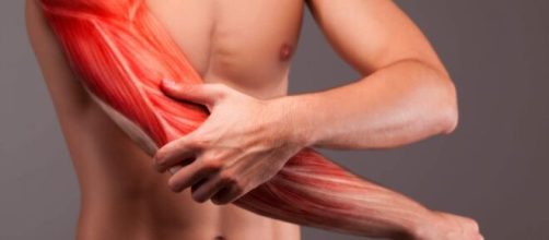 Evitar o catabolismo &eacute; essencial para atingir resultados. (Arquivo Blasting News)