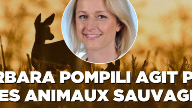 Le site internet de la ministre Barbara Pompili : les n&eacute;onicotino&iuml;des vont exterminer des milliards d'insectes utilesue-animaux.fr