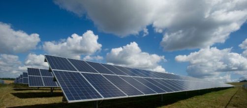Researchers Develop AI Bird Watcher to Explain Why Solar Farms Kill Thousands of Birds (Photo : American Public Power Association/Unsplash)