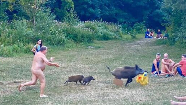 Les images captur&eacute;es par une allemande pr&eacute;sente sur les lieux ont fait le tour du Web, source : capture Facebook - Adele Landauer