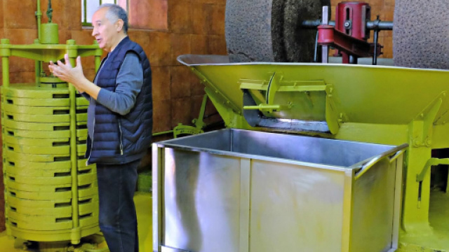 Les ateliers artisanaux de production des huiles d'olive Segerm&egrave;s, dans le moulin de Mounir Boussetta,autonome de la cueillette &agrave; l'embouteillage