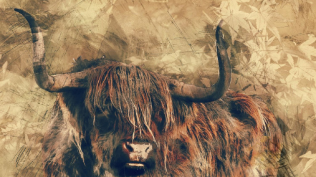 Oroscopo e classifica settimanale dal 24 al 30 agosto: lavoro top per il Toro.