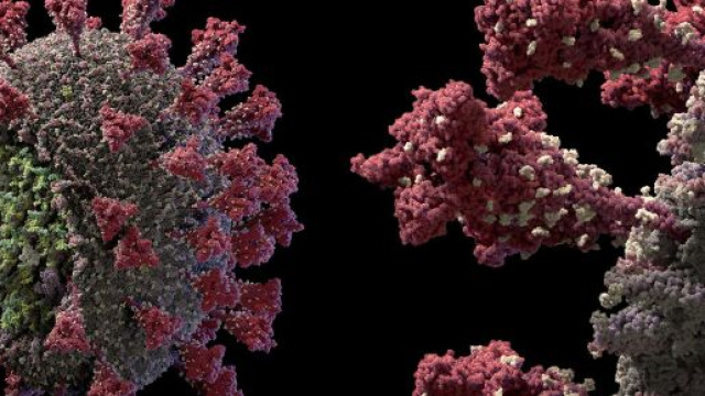 Coronavirus, dati dal mondo: oltre 200.000 decessi in Sud America, lockdown in Libia.