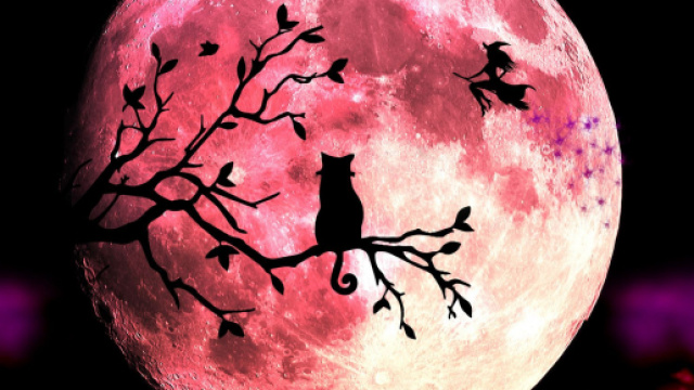 L'oroscopo di domani 7 agosto e classifica, 1&ordf; sestina: Luna in Ariete e Venere in Cancro.