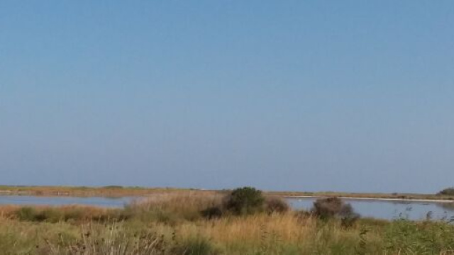 Brindisi, rinvenuto ordigno bellico nell'area dell'ex poligono di Punta della Contessa.