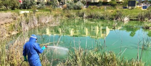 El virus del Nilo afecta a la poblaci&oacute;n de Andaluc&iacute;a.