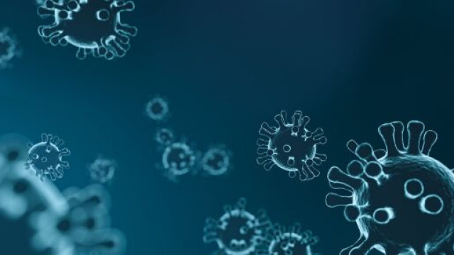 Coronavirus, il bollettino del 23 agosto.