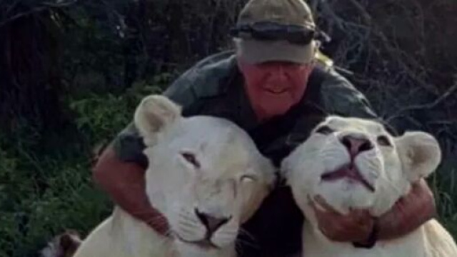 West Mathewson ucciso a 68 anni dalle leonesse che ha allevato.