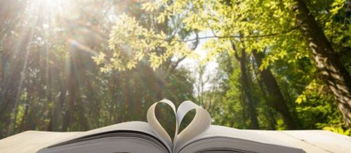 Op&ccedil;&otilde;es de livros para relaxar a mente. (Arquivo Blasting News)