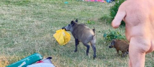Imagens se popularizaram nas redes sociais. (Adele Landauer/Reprodu&ccedil;&atilde;o/Facebook)