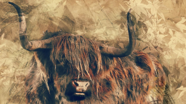 Previsioni zodiacali e classifica di luned&igrave; 10 agosto: Ariete bizzosa, Toro confuso.