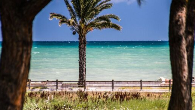L'oroscopo dal 10 al 16 agosto su amore: Ferragosto speciale per Gemelli e Acquario.