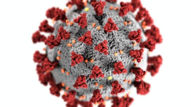 Coronavirus, il bollettino del 9 agosto 2020.