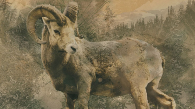 Previsioni zodiacali e classifica di marted&igrave; 11 agosto: lavoro top per Toro e Capricorno.