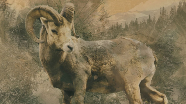 Oroscopo e classifica di gioved&igrave; 3 settembre: Vergine confusa, illusioni per il Capricorno.