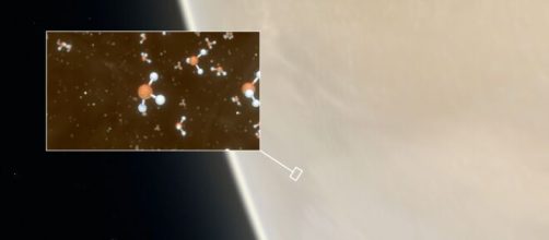 Cient&iacute;ficos anuncian el hallazgo de indicios de posible vida en nubes del vecino planeta Venus