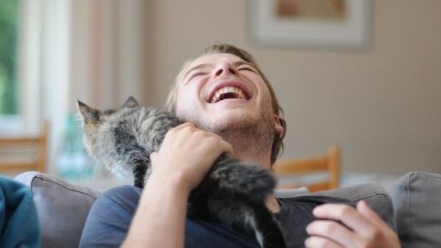 IV/. Farwest Pixie-Bobs - owners feed back - Testimonials - pixiebob.net