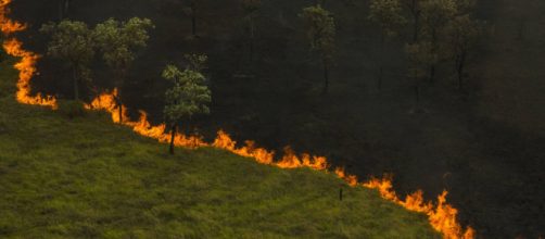 Foto a&eacute;rea da tomada da vegeta&ccedil;&atilde;o pantaneira pelo fogo descontrolado. (Arquivo Blasting News)
