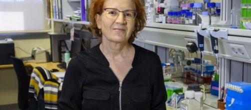 Margarita del Val predice un mal futuro para los j&oacute;venes si no se frena el coronavirus.