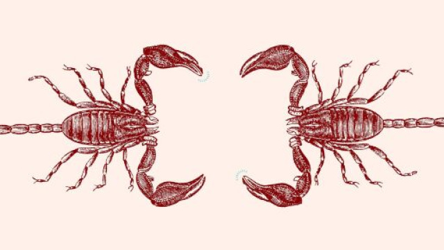 Oroscopo ottobre, Scorpione: sentimenti e carriera professionale eccellenti.