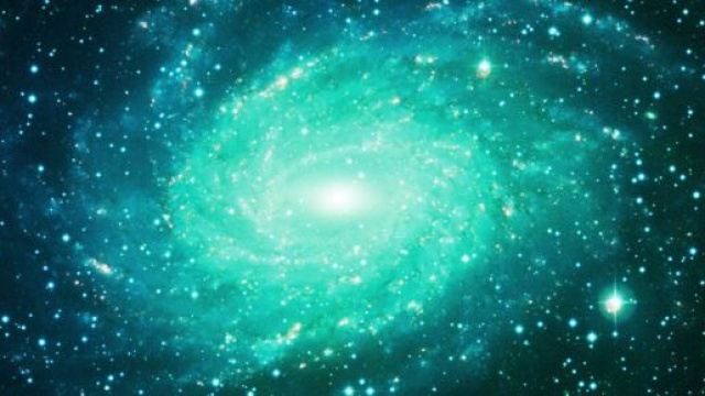 Astrologia del 25 settembre: Toro socievole e Leone grintoso.